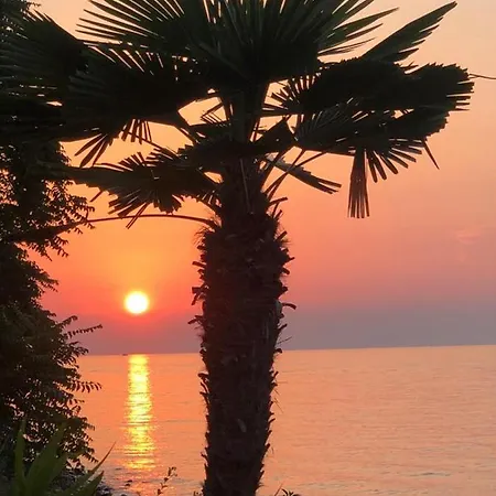 Skolka * Portoroz