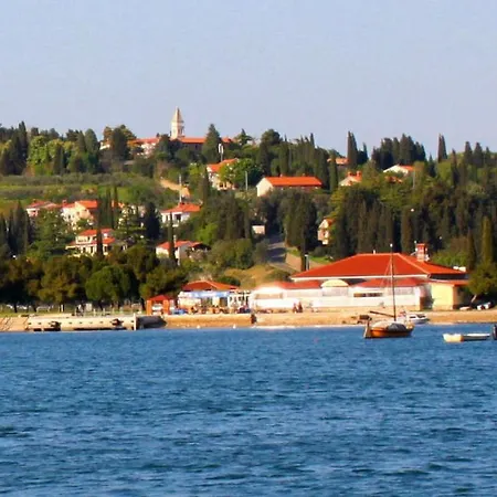 Skolka *