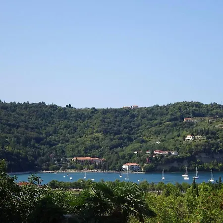 Skolka * Portoroz