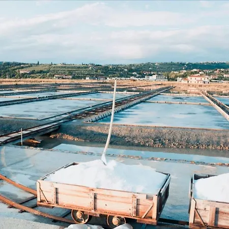 Apartment Skolka Portorož