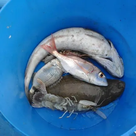 Skolka Apartment Portorož