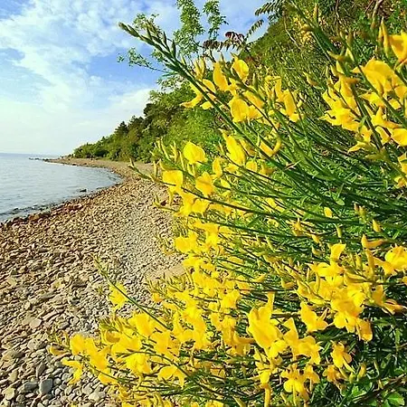Skolka * Portorož