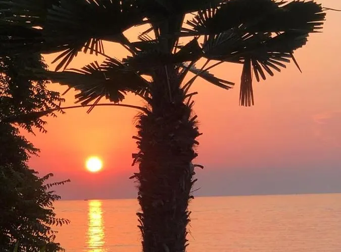 Skolka * 波尔托罗