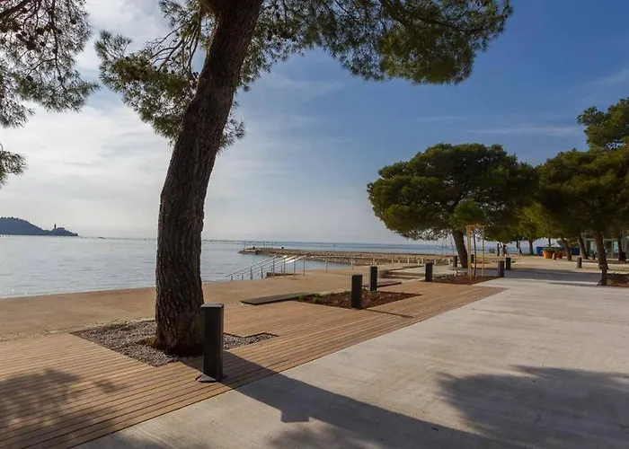 Skolka * 波尔托罗