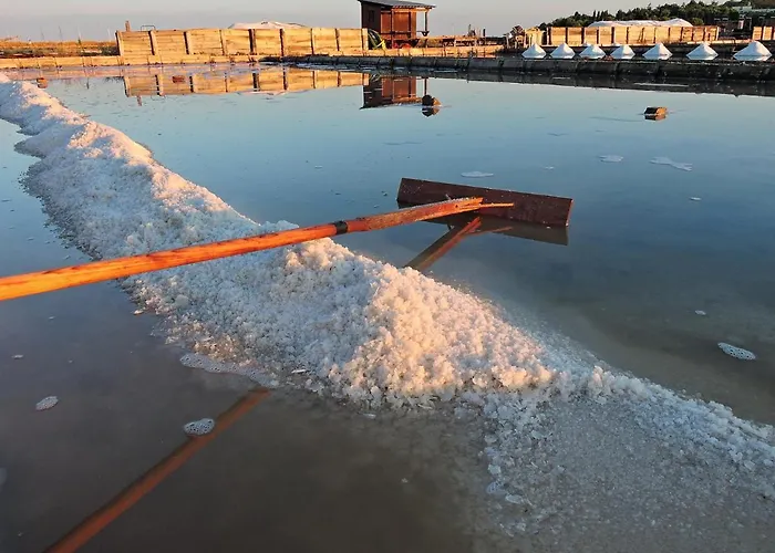 Skolka 公寓 波尔托罗