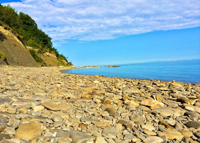 Skolka 公寓 波尔托罗