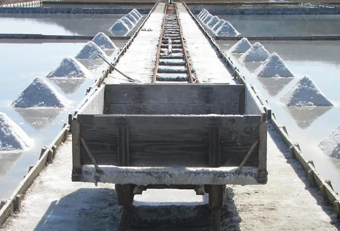 Skolka * 波尔托罗