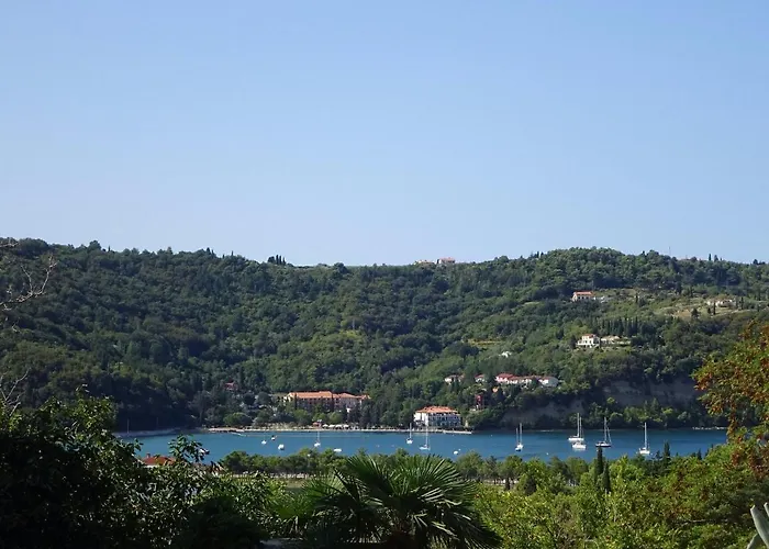 Skolka * 波尔托罗