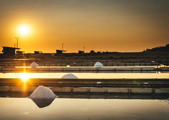 Skolka * 波尔托罗