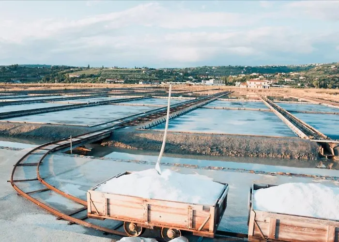 公寓 Skolka 波尔托罗