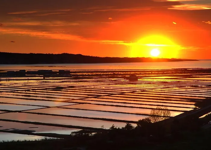 公寓 Skolka 波尔托罗