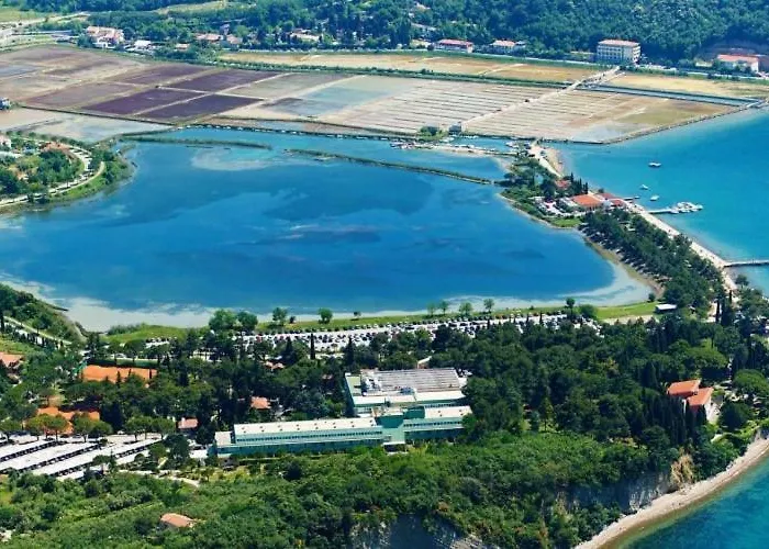 Skolka * 波尔托罗