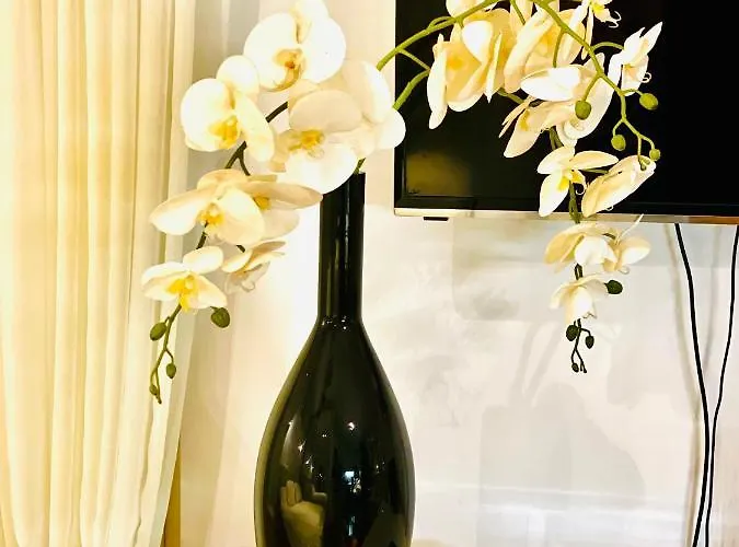 公寓 Skolka 波尔托罗