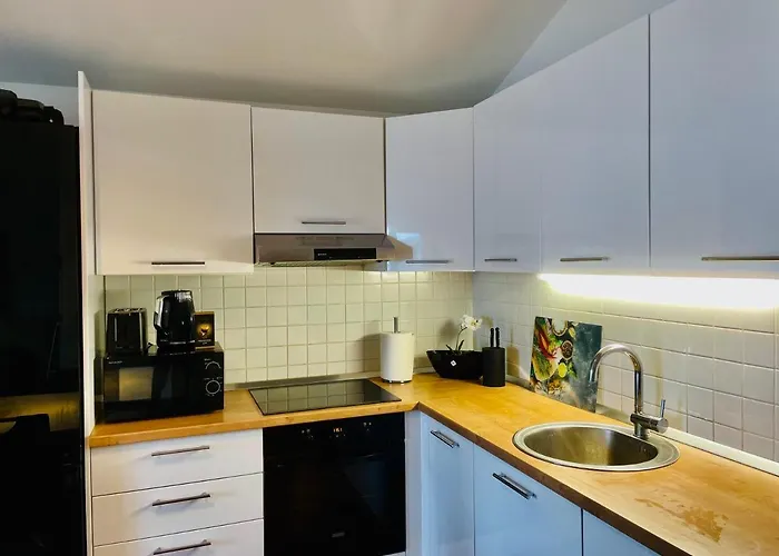 Skolka 公寓 波尔托罗